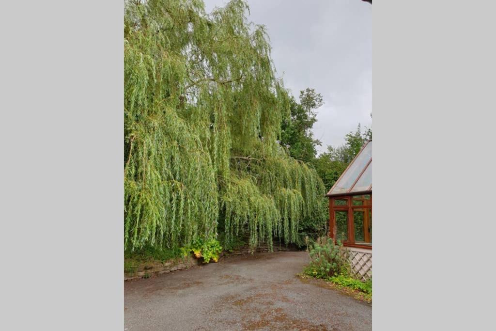 Willow Lodge Abergavenny Ngoại thất bức ảnh